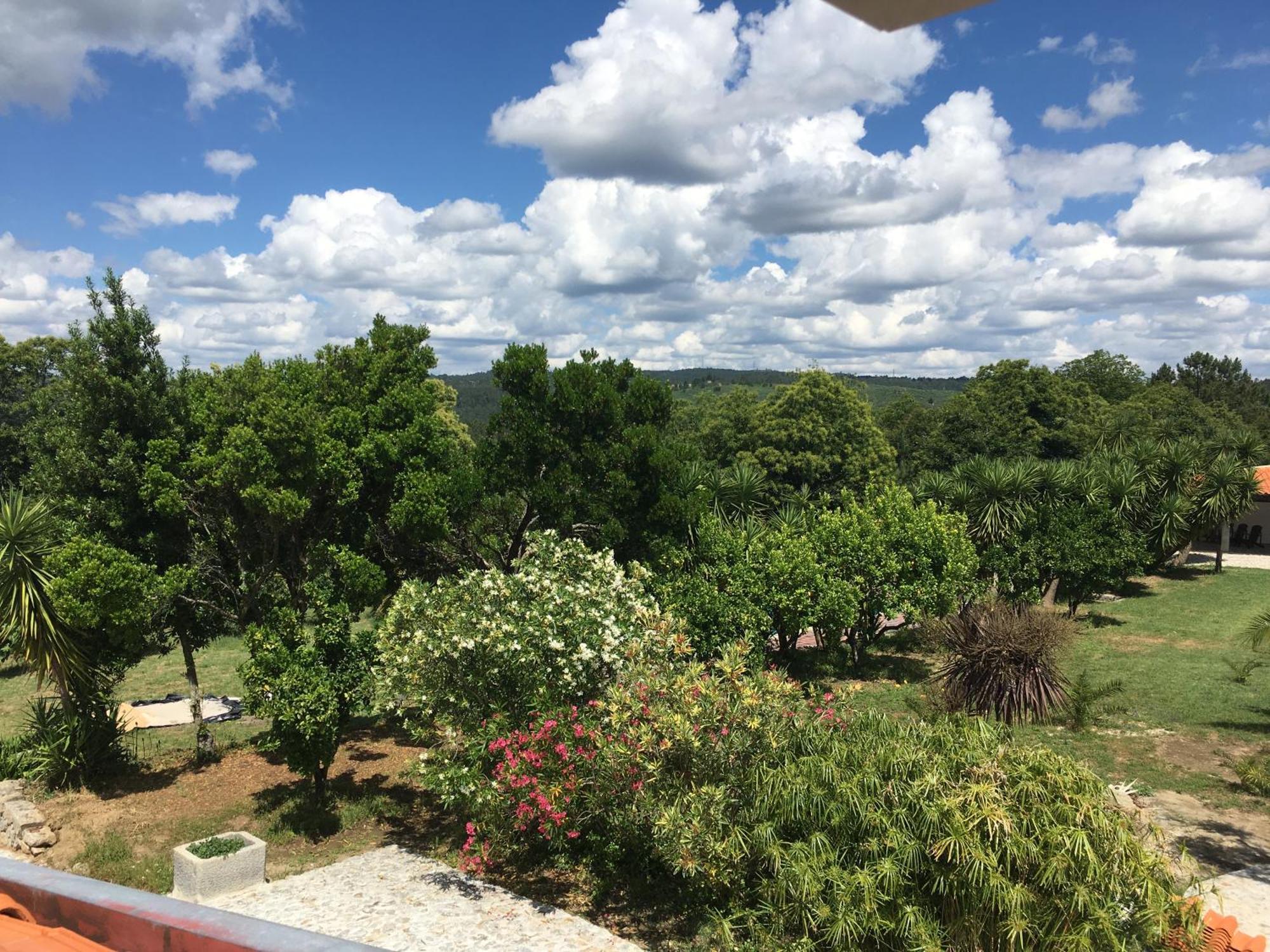 Quinta De Mocamedes - Turismo De Habitacao Hotel Vouzela Luaran gambar