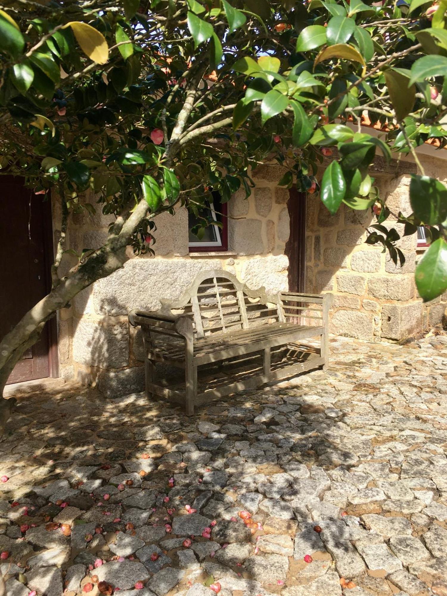 Quinta De Mocamedes - Turismo De Habitacao Hotel Vouzela Luaran gambar