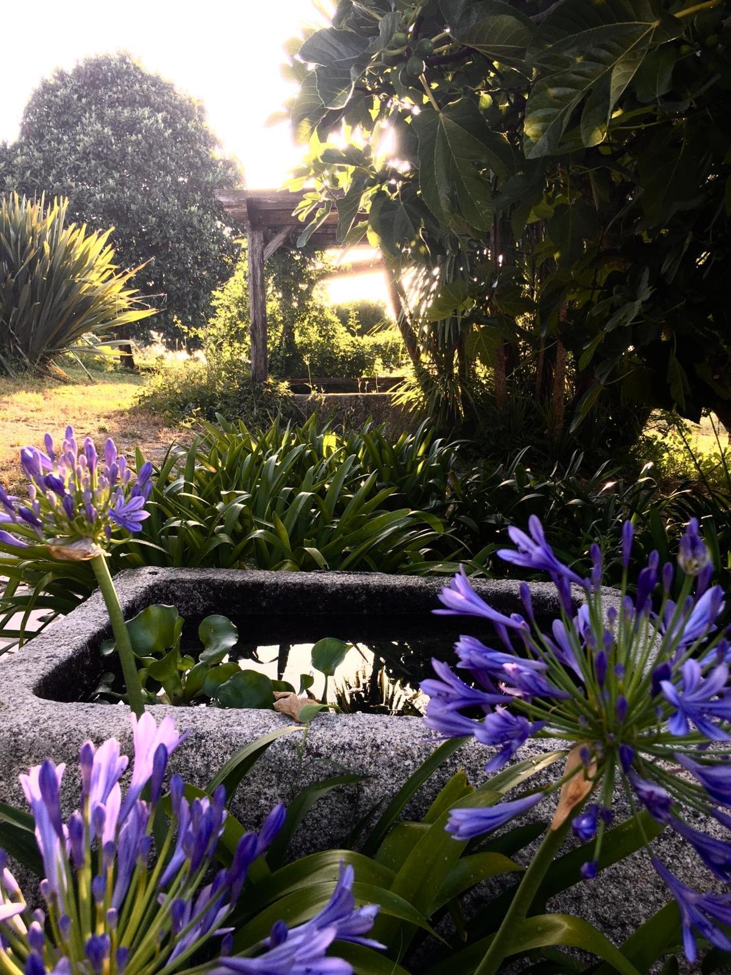Quinta De Mocamedes - Turismo De Habitacao Hotel Vouzela Luaran gambar