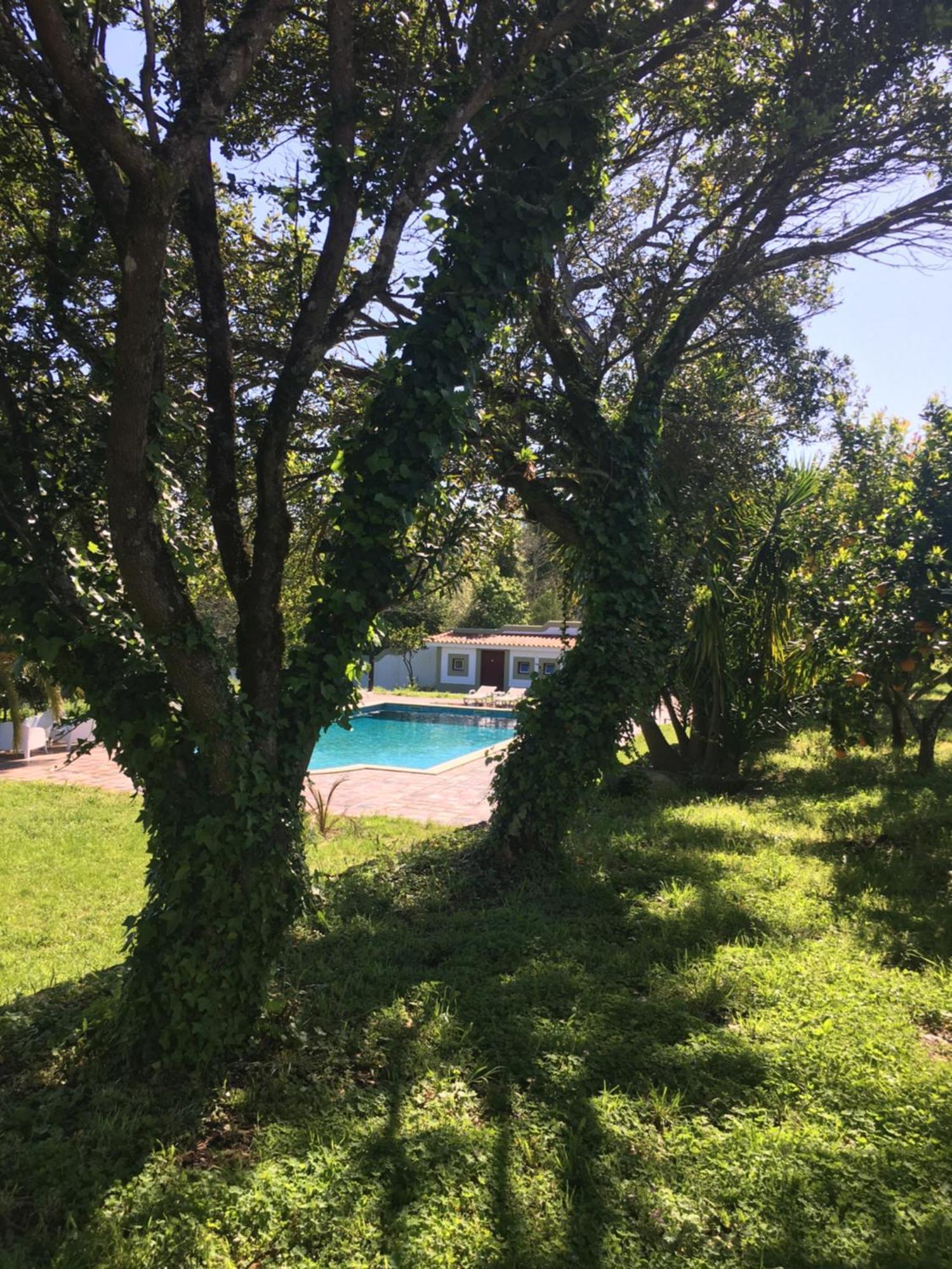 Quinta De Mocamedes - Turismo De Habitacao Hotel Vouzela Luaran gambar