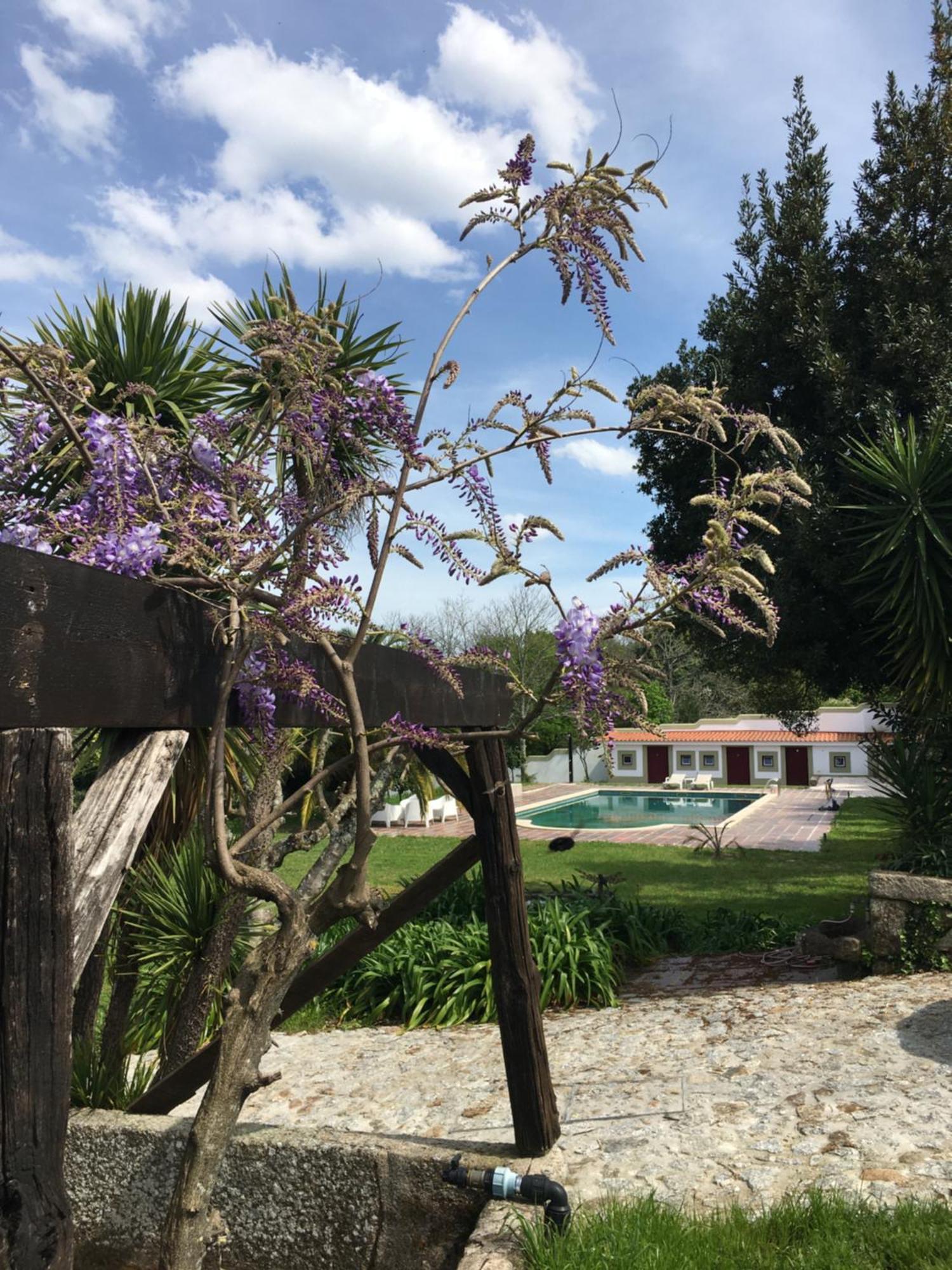 Quinta De Mocamedes - Turismo De Habitacao Hotel Vouzela Luaran gambar